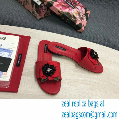 Dolce  &  Gabbana Black Red Roses Slides Red 2022